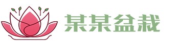 justfun抓饭体育-抓饭体育直播-抓饭体育免费直播 - 抓饭体育